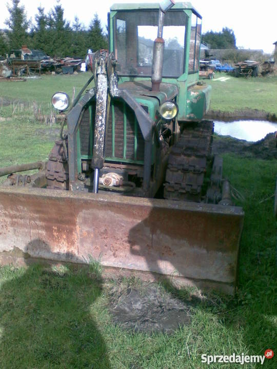 spychacz mazur mazurek Stara Kiszewa