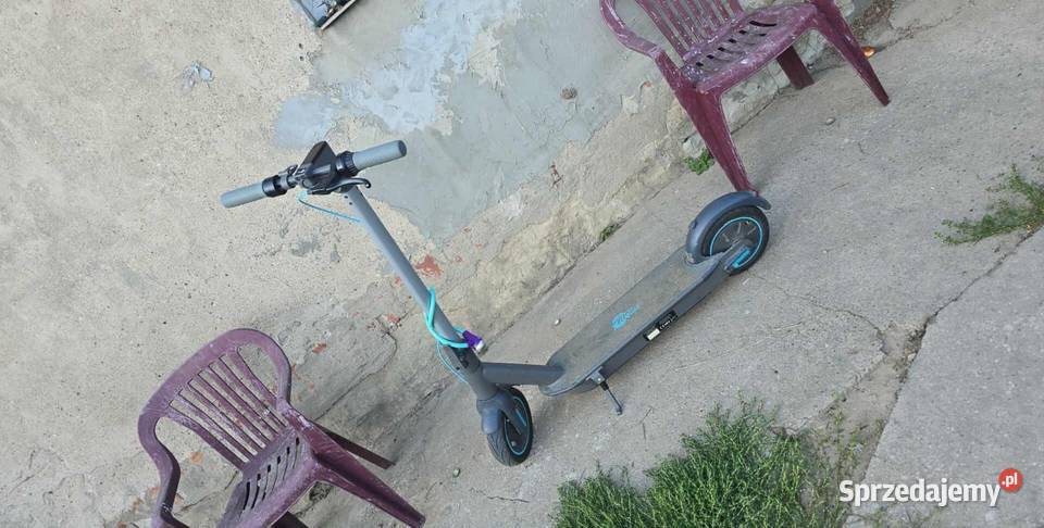 Hulajoga elektryczna motus Trzemeszno