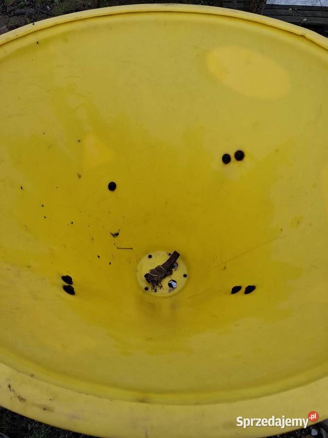 Rozsiewacz lej Pozostałe świętokrzyskie Nowa Słupia