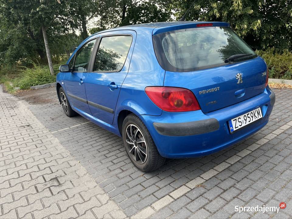 Peugeot 307 2004 16 benzyna 110 benzyna Szczecin sprzedam