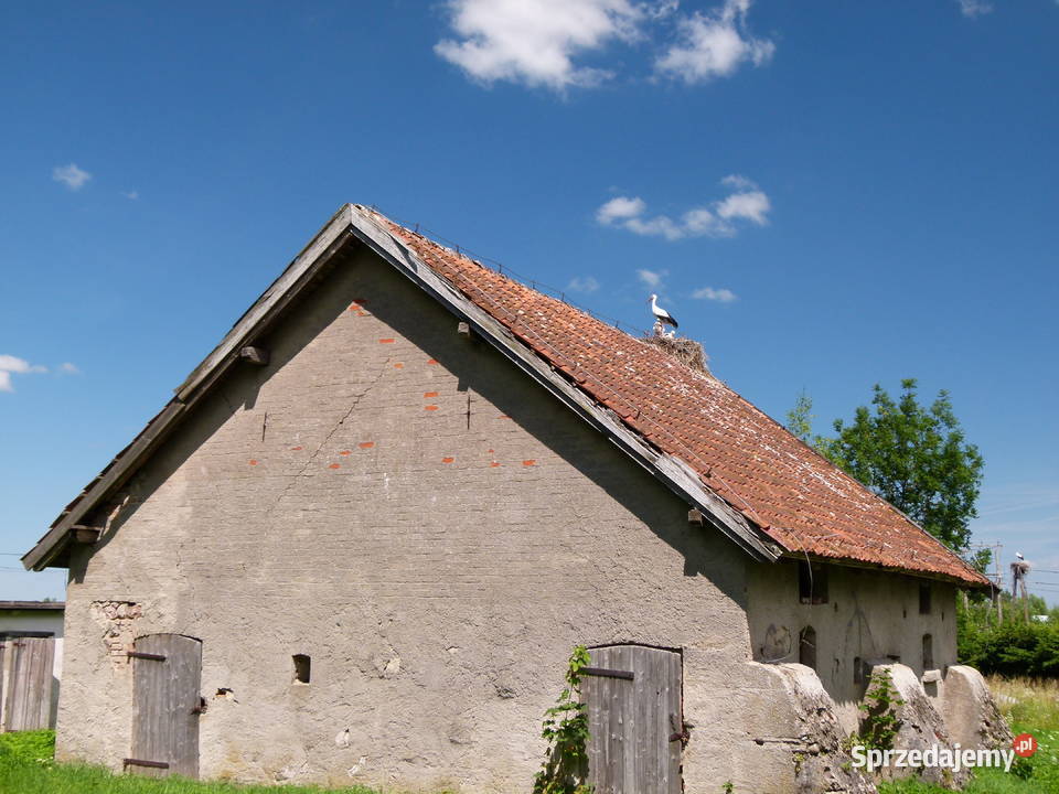 Mazury Dom 059000 ha 325000 Żabin
