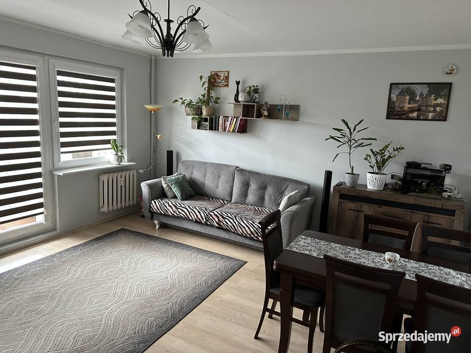 3pokojowe mieszkanie 595m2 Tuwima Sprzedaż sprzedam