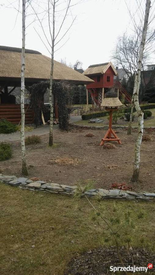 Dachy trzcinowe altana trzcina remont renowacja