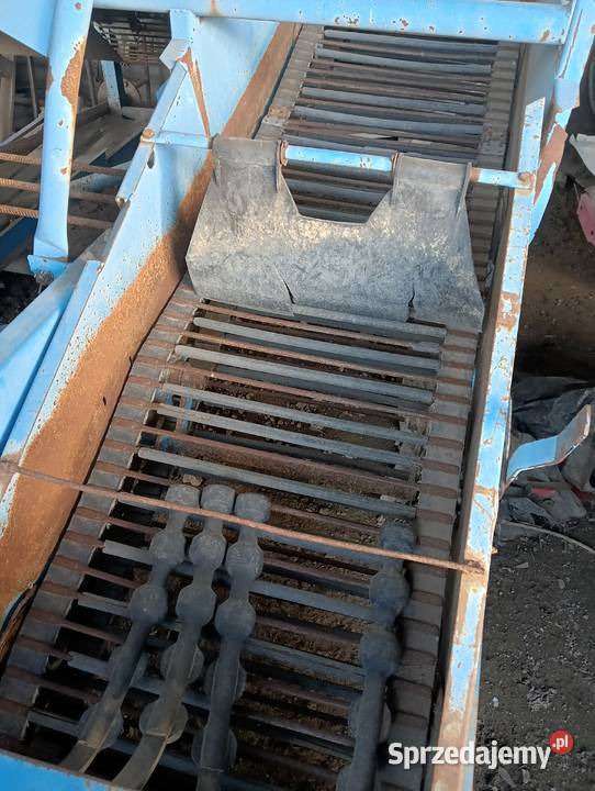 Kombajn do cebuli ziemniaków selerów Bolko łódzkie Witonia sprzedam