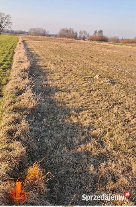Działka z wydanym warunkiem zabudowy Czermin