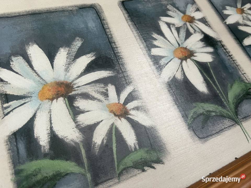 Obraz ze stokrotkami w drewnianej ramce Jasło