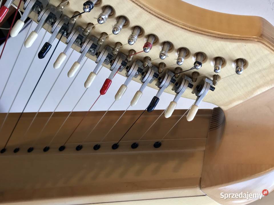 RESONANCE HARPS St Petersburg HARFA haczykowa Warszawa