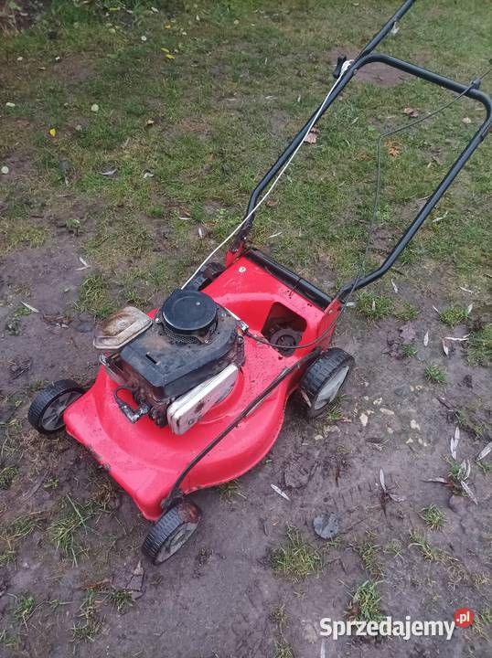 Kosiarka spalinowa do trawy Sterdyń