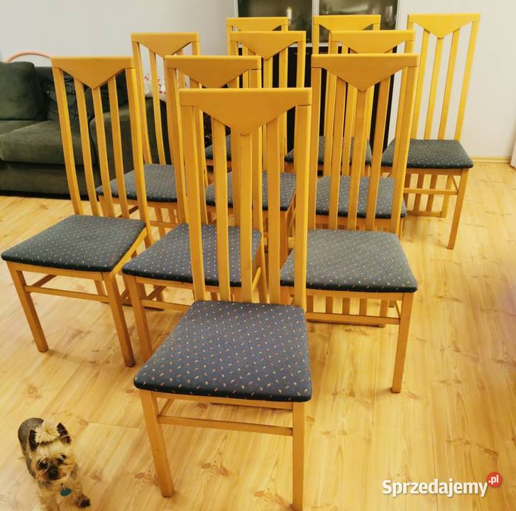 Krzesła 10sztuk