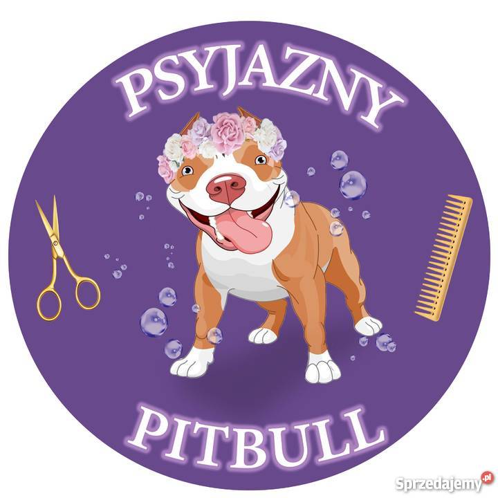 Psi Fryzjer Białołęka Tarchomin Warszawa Sprzedajemypl