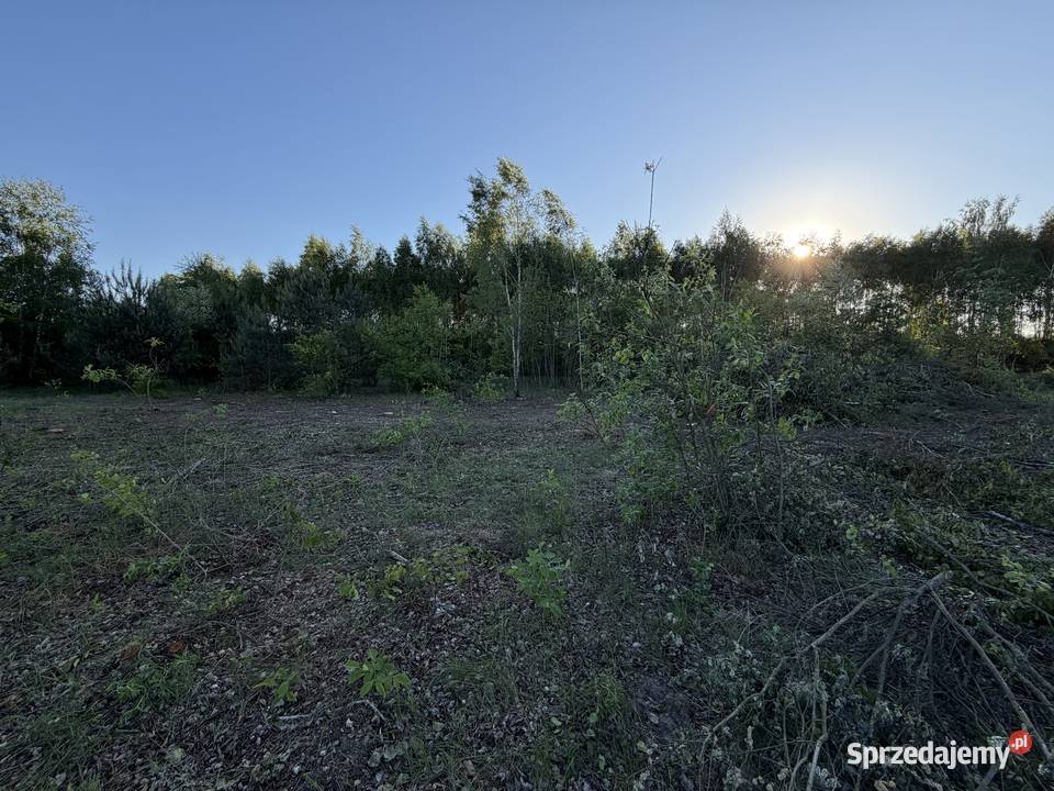Działka budowlana Sokolnik Mrozy 970 m2