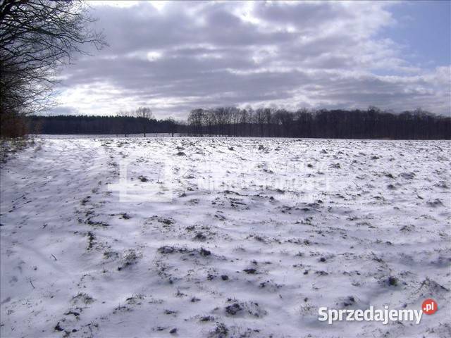 sprzedaży działki 8200 metrów Żarnowska