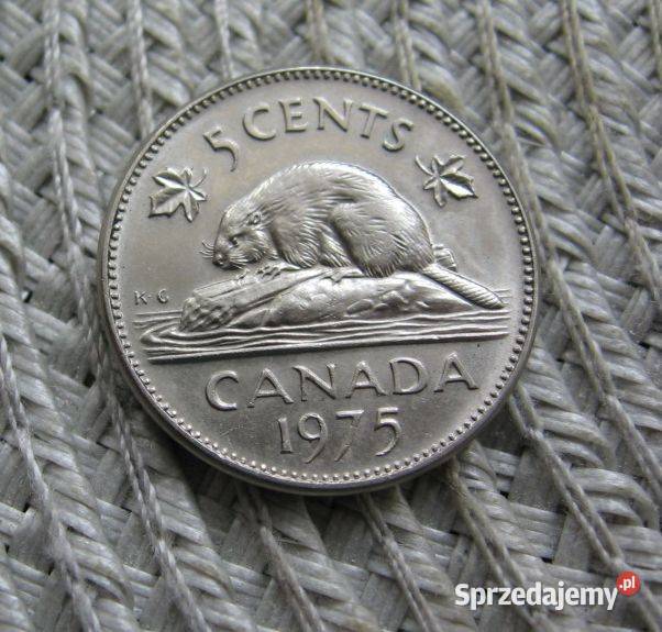 Kanada 5 Cent 1975r Ładna Kalisz