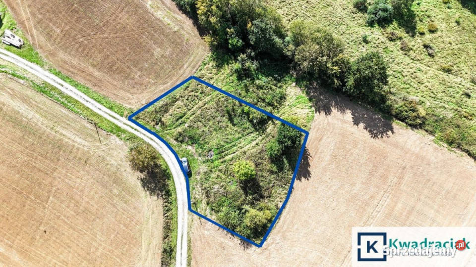 Grunt Brzeziny 1250m2