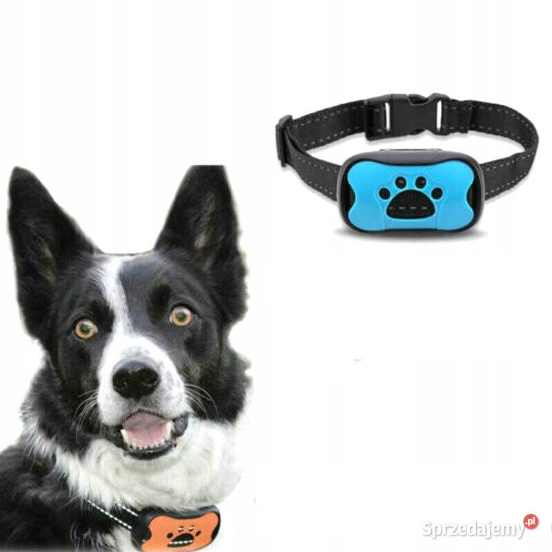 Obroża przeciw szczekaniu Zamość