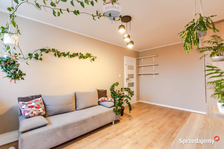 Do wynajęcia 3 pokoje w centrum Zielonej Góry Nieruchomości lubuskie Zielona Góra sprzedam