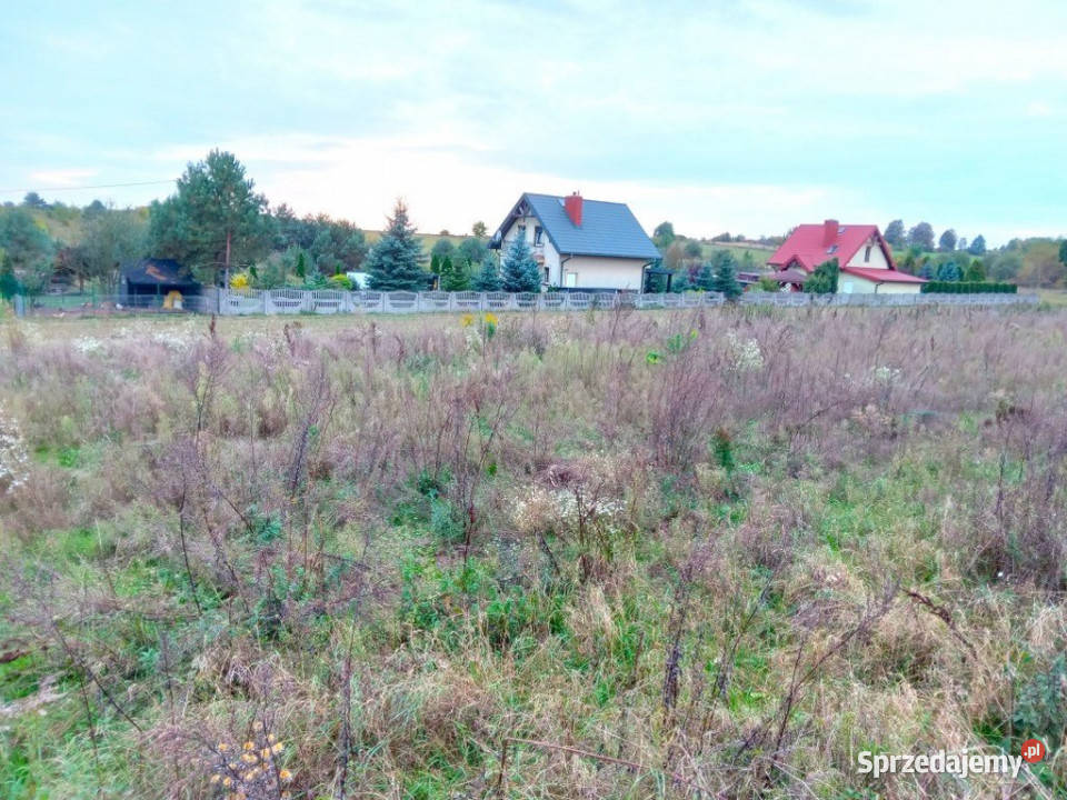 Działka Zaborze 3000m2 świętokrzyskie sprzedam