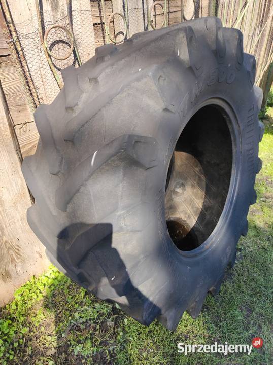 Opona 5406526 Chełm