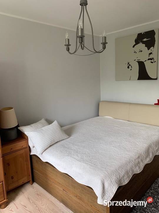 3 pokoje Wynajem Gdańsk
