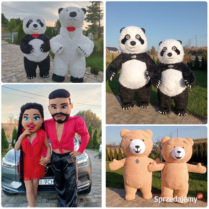 Żywa maskotka na imprezę Biały Miś Luksus Panda Atrakcje i pokazy Katowice