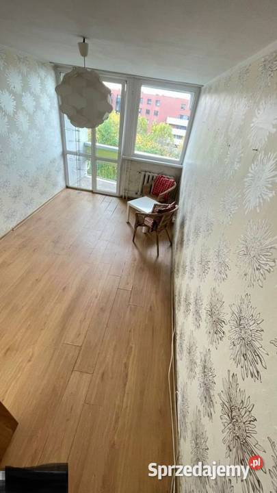 2pok 42met Białowieskiej BALKONPIWNICAWINDA Wrocław sprzedam