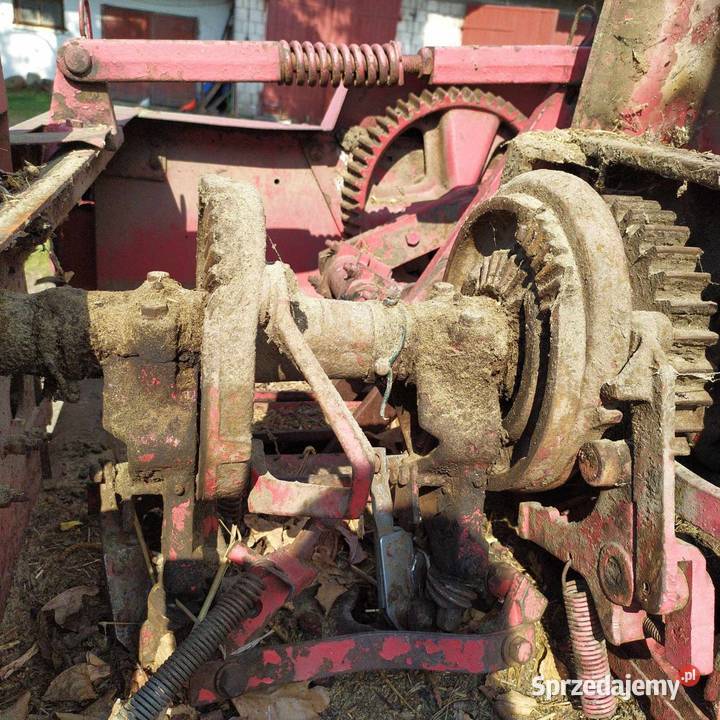 Prasa International 440 prasa kostkujaca do Tarnobrzeg