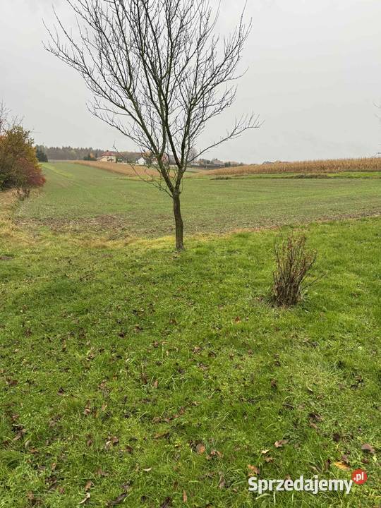 Działka 35 arów Krasieniec Stary prąd i woda rolna