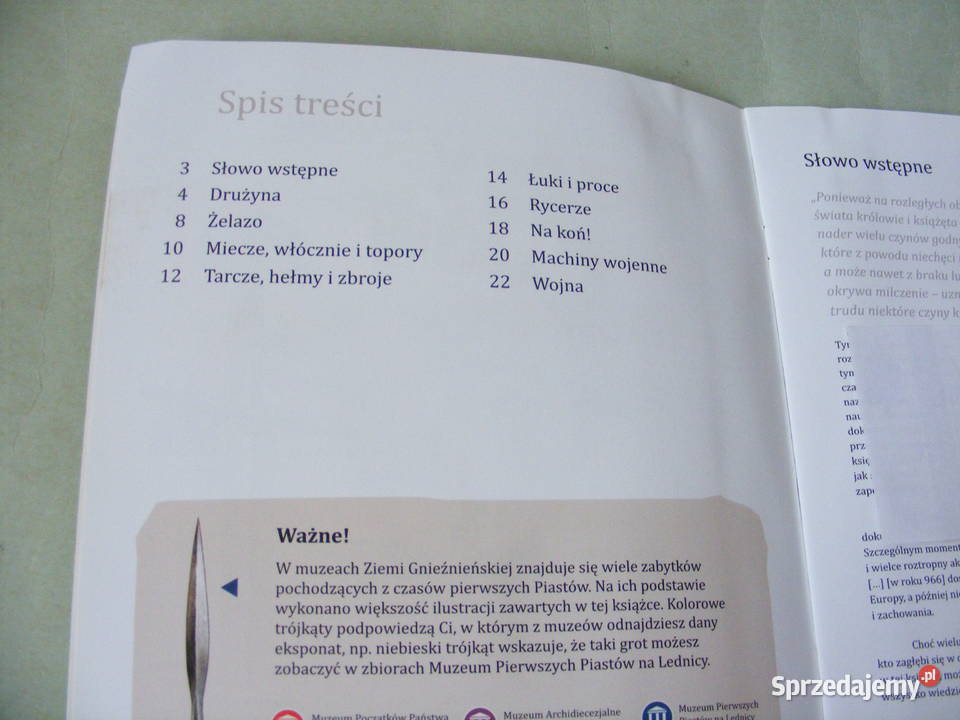 Rycerz Króla Jegomości Żak Czasy wojów i rycerzy Baśnie, podania i legendy Oborniki Śląskie sprzedam