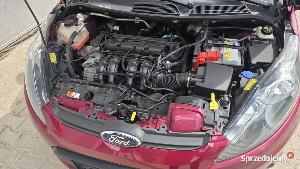 Ford Fiesta 125 Celebration opolskie Nowy Świętów