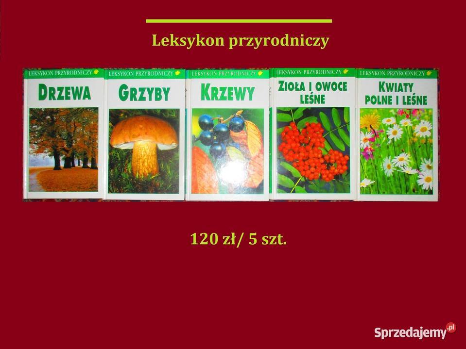 Nasza przyroda rośliny i zwierzęta Europy biologia, ekologia Łódź sprzedam