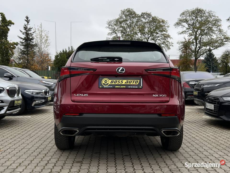 Lexus NX 300 2019 Warszawa sprzedam