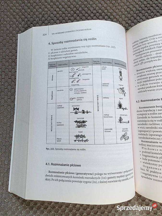 Biologia Vademecum maturzysty Ewa PyłkaGutowska Kraków