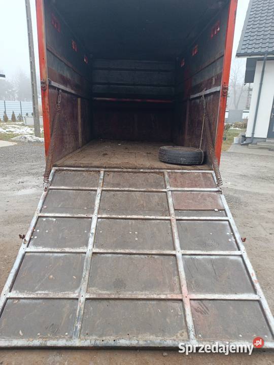 Iveco Daily 3510 1996r Koniowóz Do przewozu nieuszkodzony Mielec