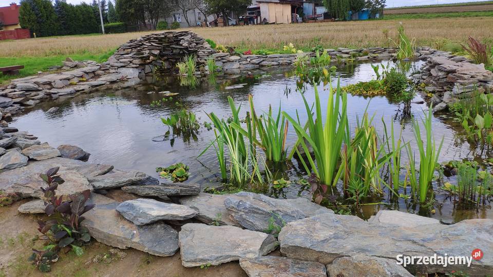 łupek skalniakowy do ogrodu Dom i Ogród Księżyce