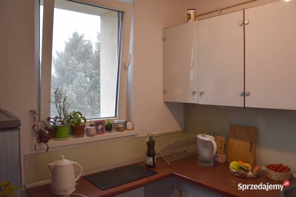 Sudecka Słoneczne mieszkanie 37m2 2 Pokoje oddzielna kuchnia Wynajem Wrocław sprzedam