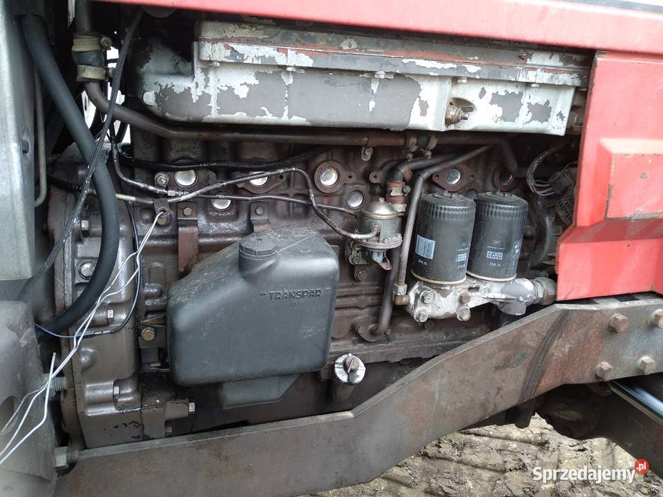 Ferguson MF 3650 sprawny TUZ 150 koni Działdowo