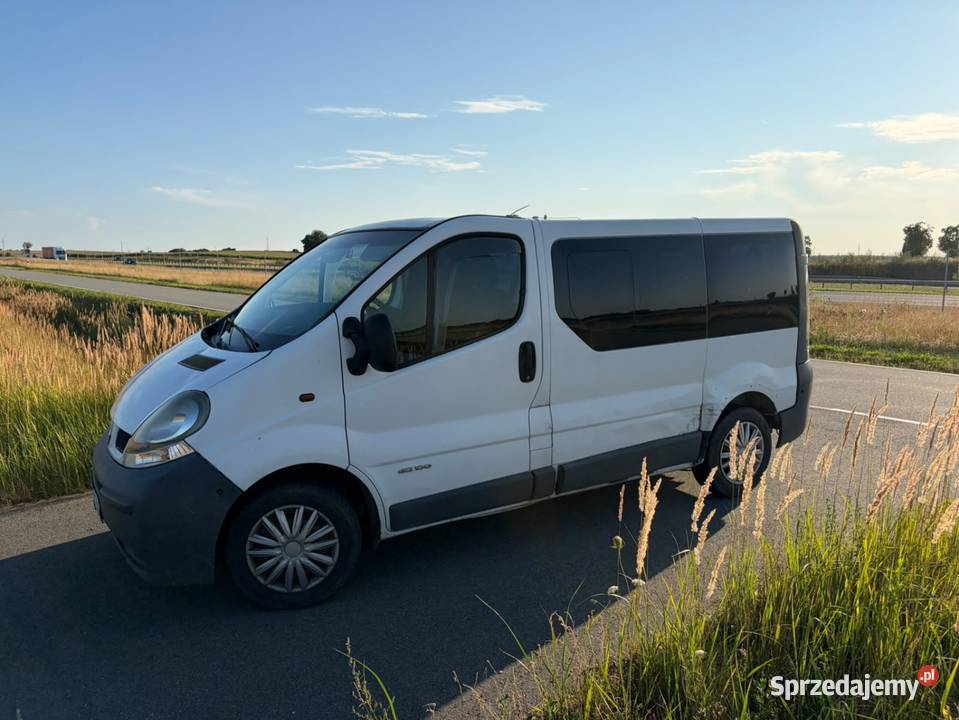 Renault traffic Gniezno