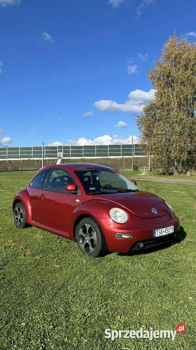 VW Beetle Garbus Bydgoszcz
