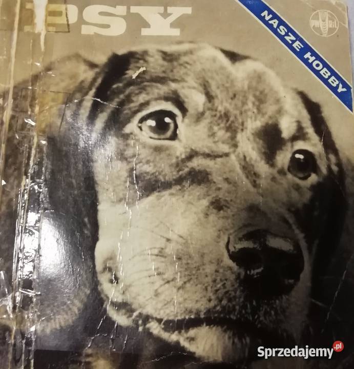 Psy nasze Hobby Henryk Lisiecki Kraków