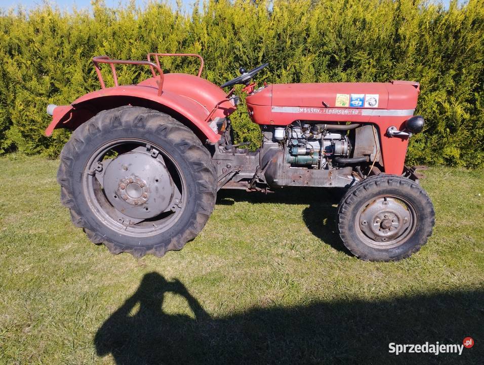 Ciągnik Massey Ferguson MF30 Myślibórz sprzedam