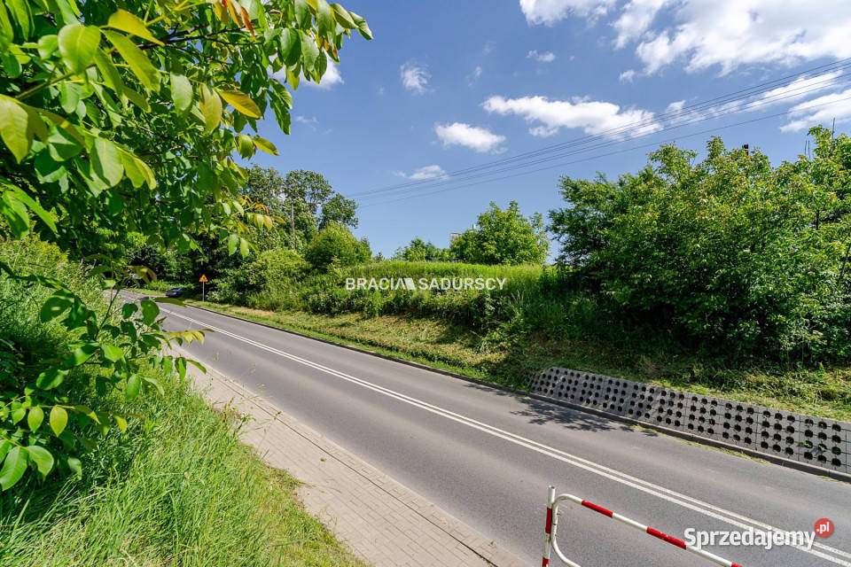 Działka Aleksandrowice 4600m2 Sprzedaż