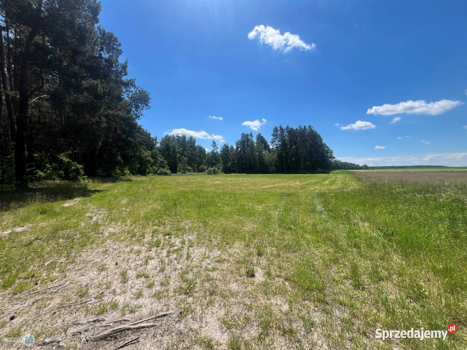 Działka 4300m2 BuskoZdrój 4300m2