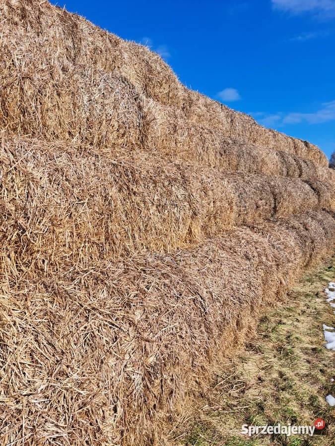 Sprzedam Słomę siano kiszonkę