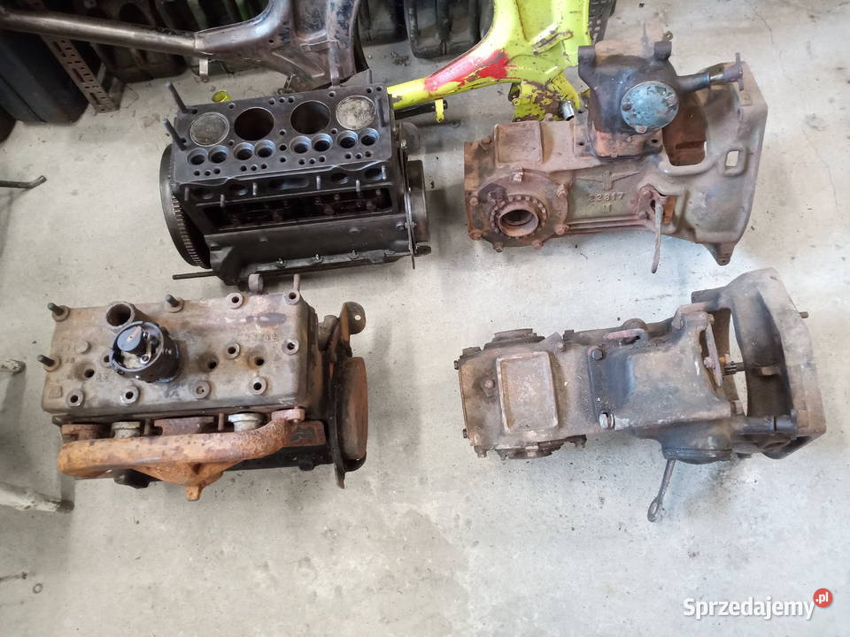 Adler junior Kraków