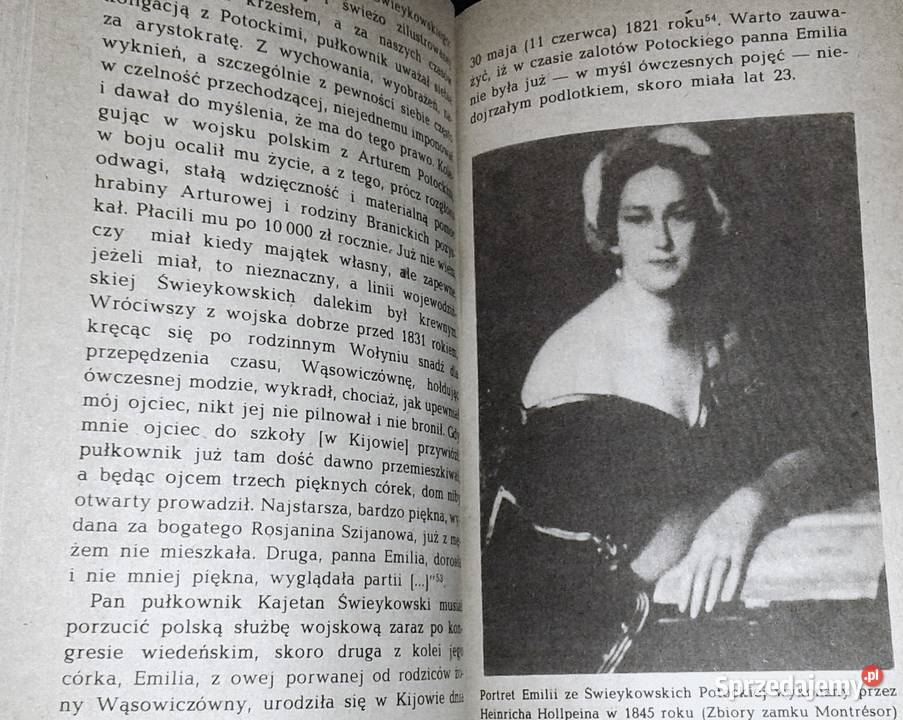 Potomkowie Szczęsnego Dzieje fortuny Potockich z Chełm