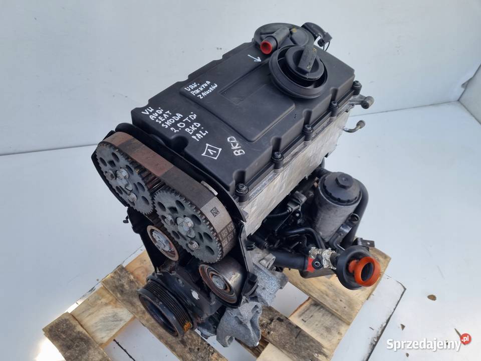 SILNIK BEZ OSPRZĘTU VW Golf V 20 TDI 140 BKD osobowe Silniki kompletne Janów