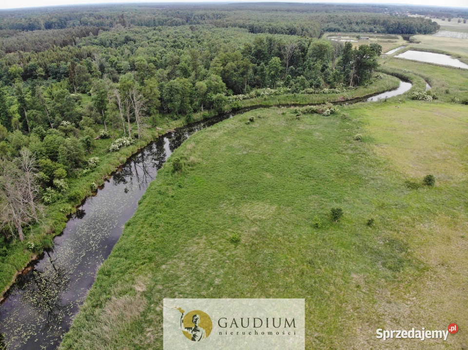 Turystyka brzegiem rzeki Obry Sprzedaż lubuskie