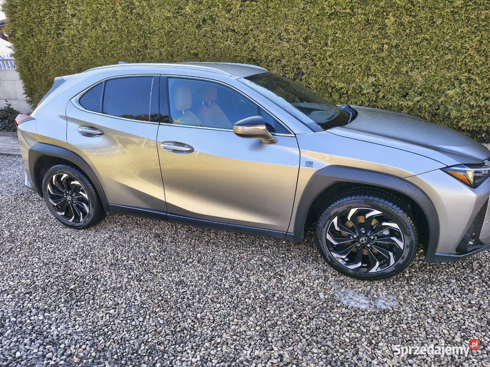 Lexus UX 250h Fsport Design Plus 2023 Gwarancja