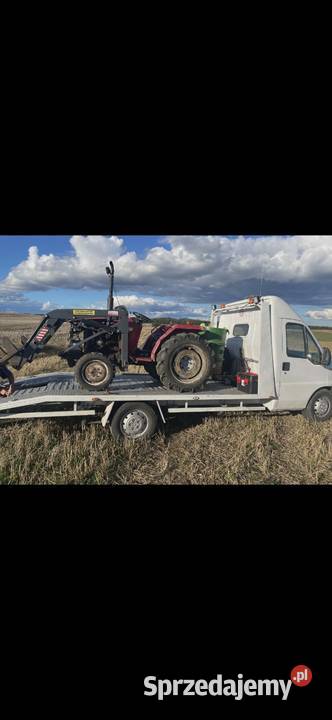 Sprzedam shibaura p21f uszkodzona Skrzynia biegów Manualna Frygnowo