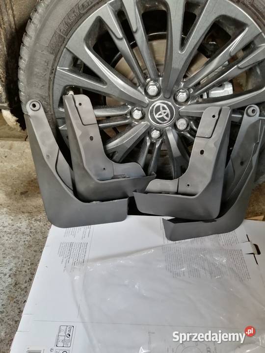 Chlapacze przód i tył Chlapacze Niwiska